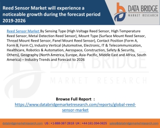 Reed Sensor Market will experience a noticeable growth during the forecast period 2019-2026