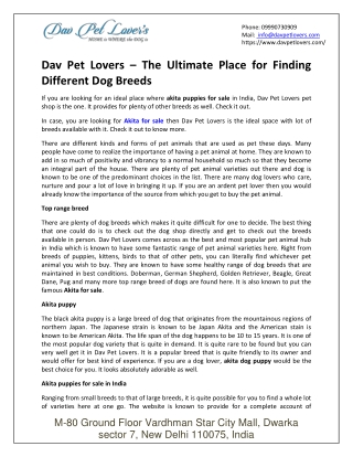 Dav Pet Lovers – The Ultimate Place For Finding Different Dog Breeds