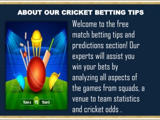 ABOUT OUR CRICKET BETTING TIPS