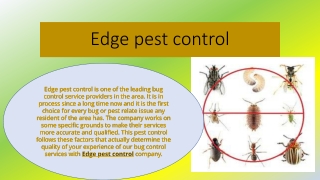 Contact Edge Pest control Save your property from pest