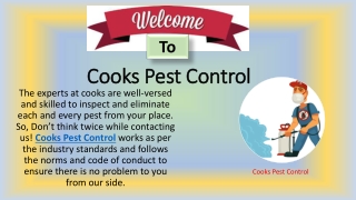 Remove pests and bugs with Cooks Pest control