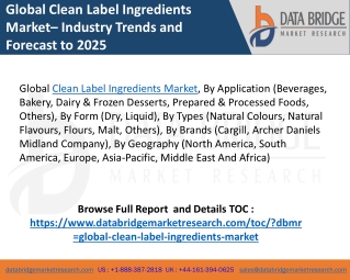 Global Clean Label Ingredients Market