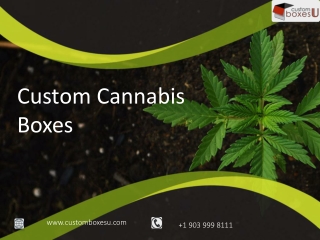 Custom cannabis boxes Wholesale in Texas USA