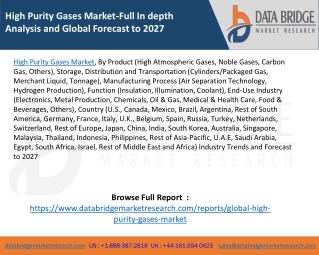 High Purity Gases Market-Full In depth Analysis and Global Forecast to 2027