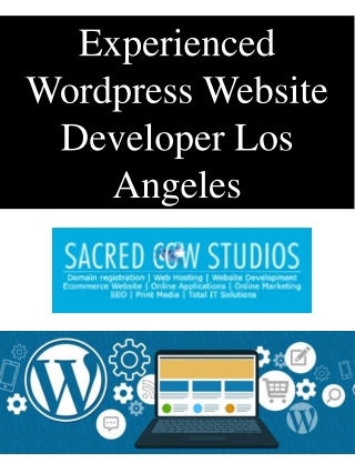 Experienced Wordpress Website Developer Los Angeles