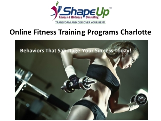 Online Fitness Training Programs Charlotte