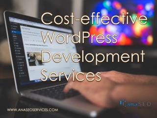 Cost-effective WordPress Development Services - AnaSEO Services