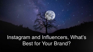 WHY PARTNER WITH INSTAGRAM INFLUENCERS?