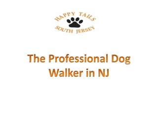 The Professional Dog Walker in NJ