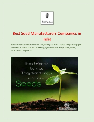 Hybrid Seeds Company in India