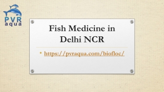 Fish Medicine in Delhi NCR