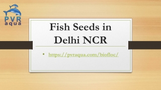 Fish Seeds in Delhi NCR