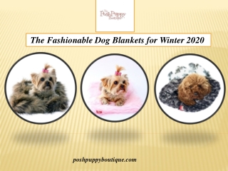 The Fashionable Dog Blankets for Winter 2020