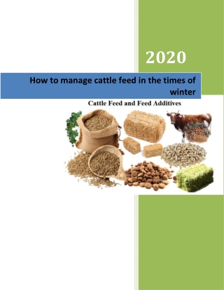 How to manage cattle feed in the times of winter