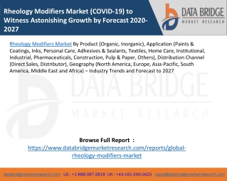 Rheology Modifiers Market (COVID-19) to Witness Astonishing Growth by Forecast 2020-2027