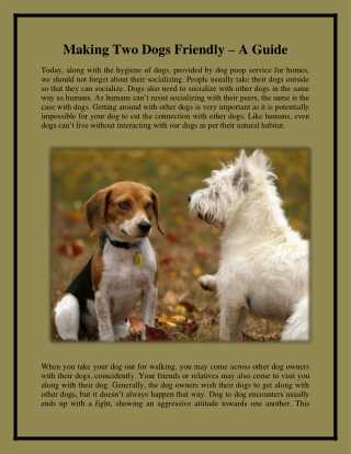 Making Two Dogs Friendly – A Guide
