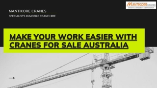 MAKE YOUR WORK EASIER WITH CRANES FOR SALE AUSTRALIA