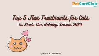 Top Five Flea Treatments for Cats