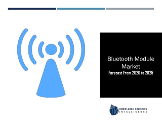 Segment Analysis On Bluetooth Module Market
