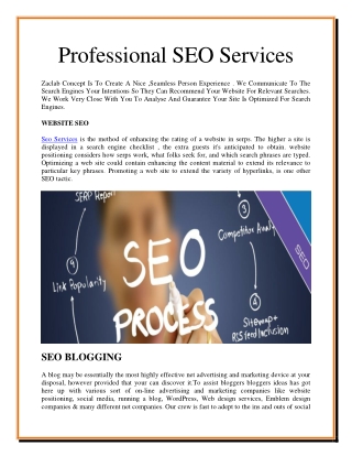 Professional SEO Services