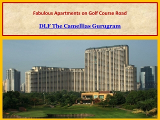 4 BHK Apartment in Gurugram | DLF Camellias Gurugram for Rent