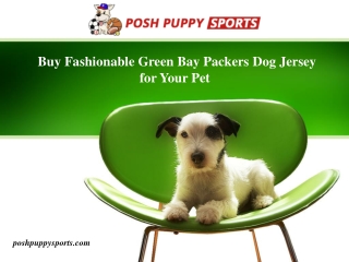 Buy Fashionable Green Bay Packers Dog Jersey for Your Pet