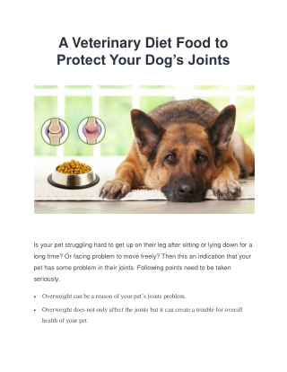 A Veterinary Diet Food to Protect Your Dog’s Joints