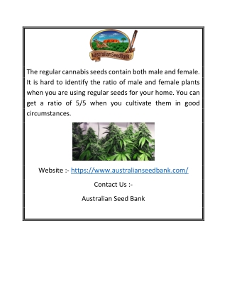 Legal Buds in Australia | Australianseedbank.com