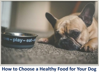 How to Choose a Healthy Food for Your Dog