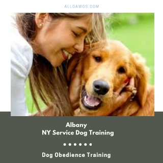 Albany NY Service Dog Training