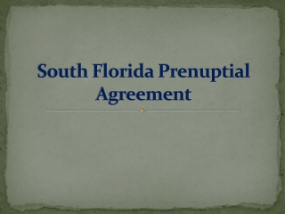 South Florida Prenuptial Agreement