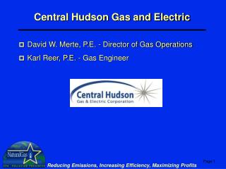 Central Hudson Gas and Electric