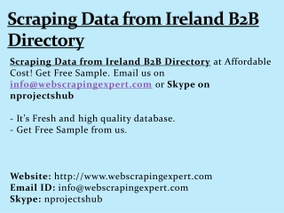 Scraping Data from Ireland B2B Directory