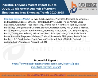 Industrial Enzymes Market Impact due to COVID 19 Along with Analysis of Current Situation and New Emerging Trends 2020-2