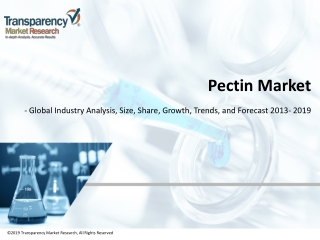 Pectin Market Global Industry Analysis, Size, Outlook, Share, Growth, Trends and Forecast 2013 To 2019