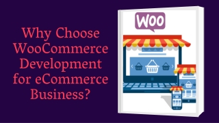 Why Choose WooCommerce Development for eCommerce Business?