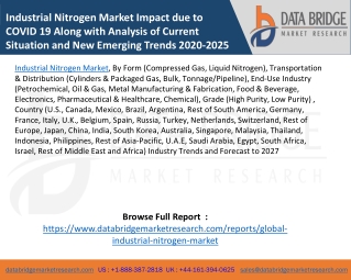 Industrial Nitrogen Market Impact due to COVID 19 Along with Analysis of Current Situation and New Emerging Trends 2020-