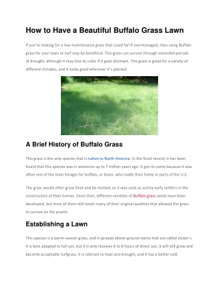 How to Have a Beautiful Buffalo Grass Lawn