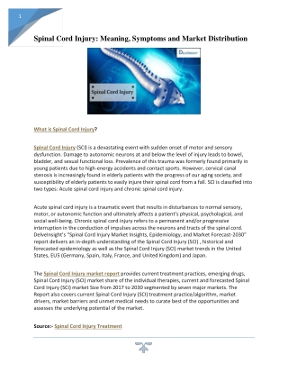 Spinal Cord Injury (SCI) - Market Insights, Epidemiology
