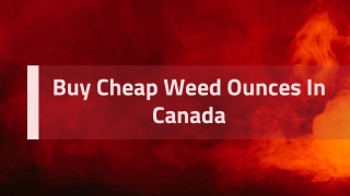 Buy Cheap Weed Ounces In Canada – Carly's Garden