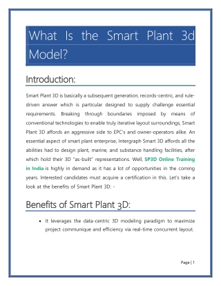 What Is the Smart Plant 3d Model?
