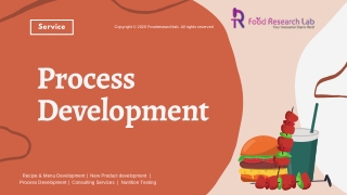 Food Process Development Services | Food Research lab