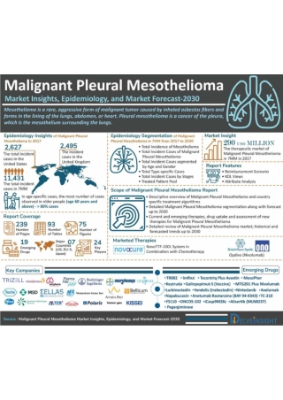 Malignant Pleural Mesothelioma (MPM) Market