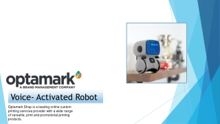 Buy Custom voice activated robot - Optamark