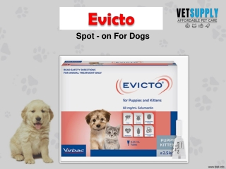 EVICTO FOR DOGS