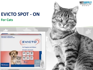EVICTO FOR CATS