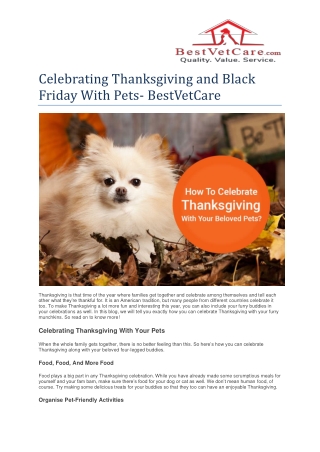 Celebrating Thanksgiving and Black Friday With Pets - BestVetCare