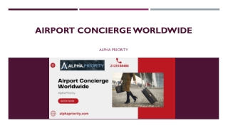 VIP Airport Concierge Services | Airport Greeters