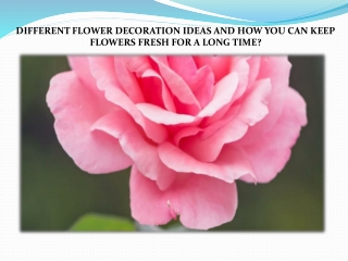 DIFFERENT FLOWER DECORATION IDEAS AND HOW YOU CAN KEEP FLOWERS FRESH FOR A LONG TIME?