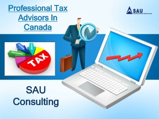 Professional Tax Advisors In Canada-SAU Consulting